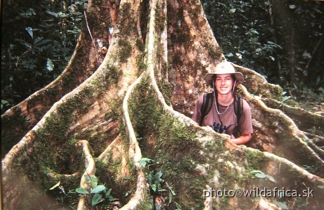 P9140039.JPG - Our first rainforest experience, Mpanga Forest, Uganda 2002