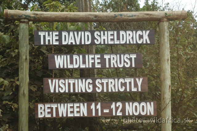 DSC_0572.JPG - The David Sheldrick Wildlife Trust