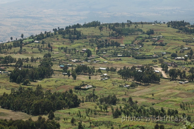 DSC_0653.JPG - Limuru Road, Central Highlands, Kenya