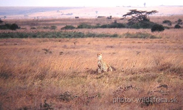 PA170091.JPG - Nairobi National Park 2002