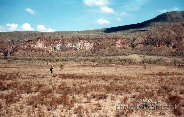 DENYS_FINCH_HATTON.JPG - Hells Gate National Park