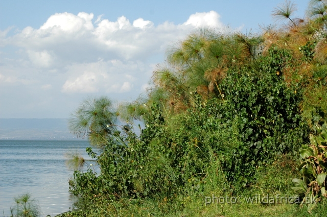 DSC_0717.JPG - Lake Naivasha