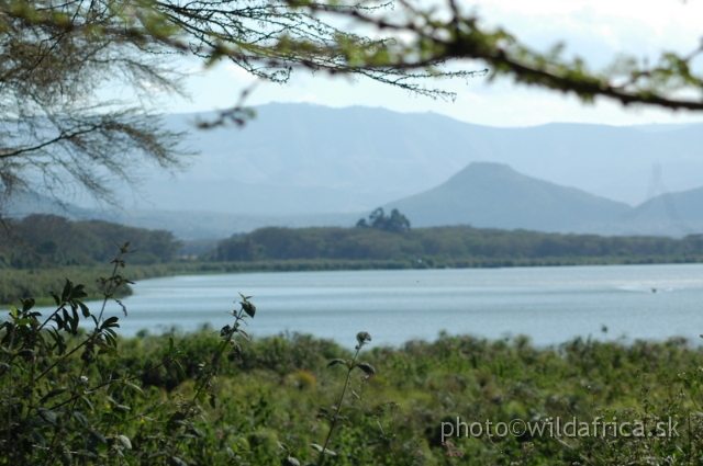 DSC_0718.JPG - Lake Naivasha