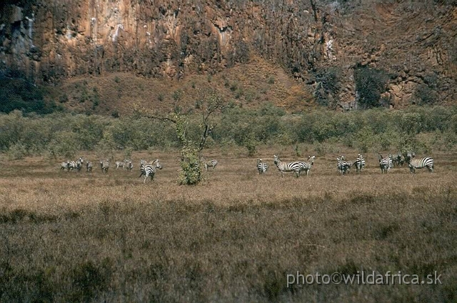 HELLS_GATE_06.JPG - Hells Gate National Park