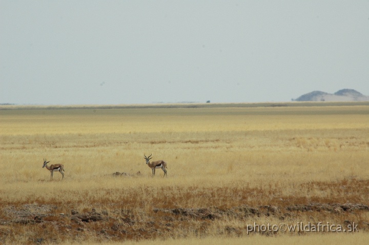 DSC_0479.JPG - Namib Naukluft National Park