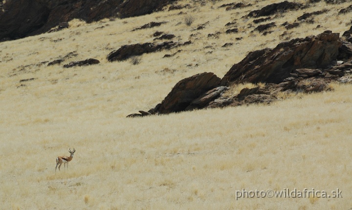 DSC_0485.JPG - Namib Naukluft National Park