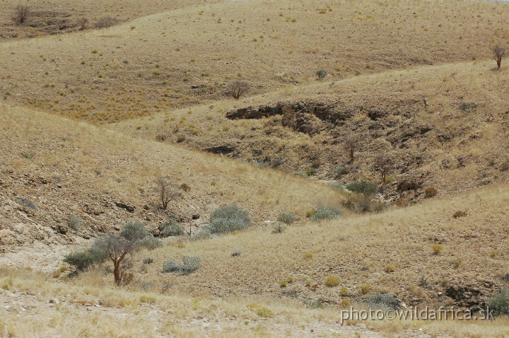 DSC_0511.JPG - Kuiseb Pass, Namib Naukluft National Park