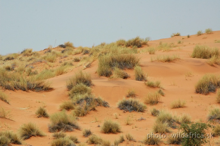 DSC_0515.JPG - Sossusvlei Dunes, Sesriem