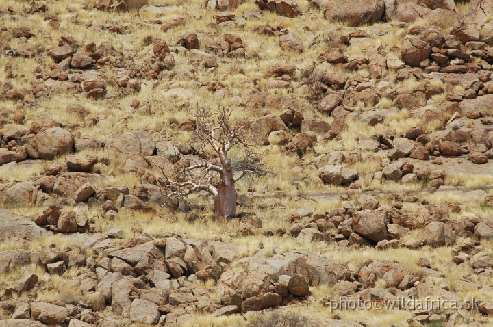 DSC_0522.JPG - Namib Naukluft National Park