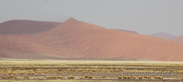 DSC_0530.JPG - Sossusvlei Dunes