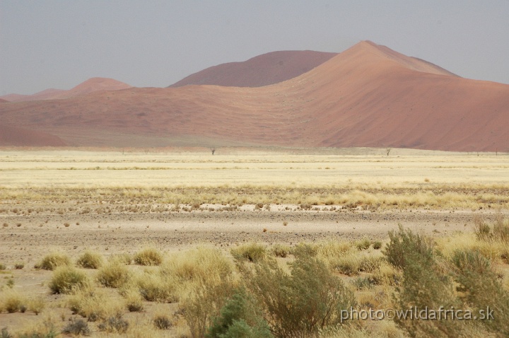 DSC_0531.JPG - Sossusvlei Dunes