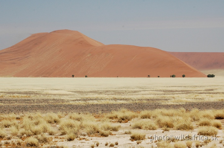 DSC_0533.JPG - Sossusvlei Dunes