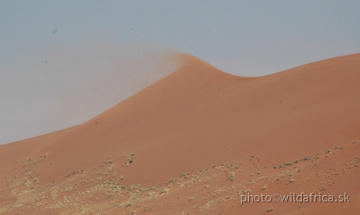 DSC_0536.JPG - Sossusvlei Dunes