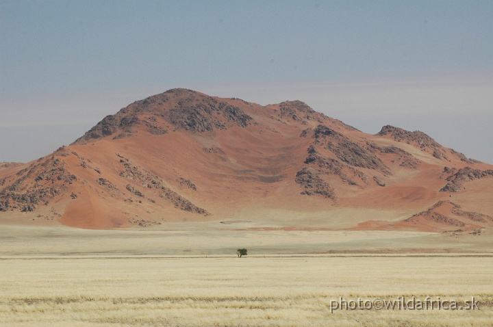 DSC_0537.JPG - Sossusvlei Dunes