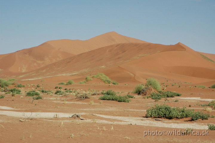 DSC_0563.JPG - Sossusvlei Dunes