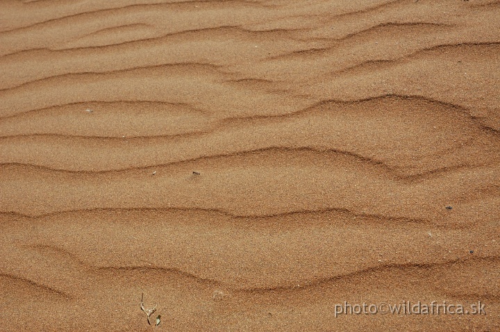 DSC_0566.JPG - Sossusvlei Dunes