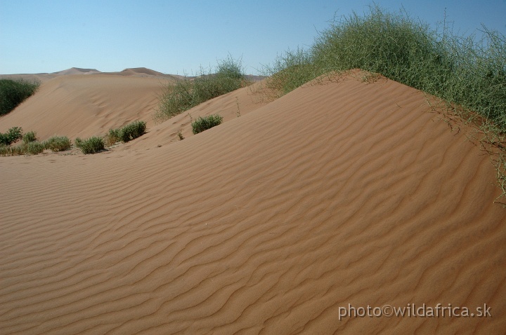 DSC_0567.JPG - Sossusvlei Dunes