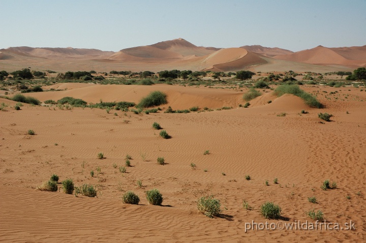 DSC_0569.JPG - Sossusvlei Dunes