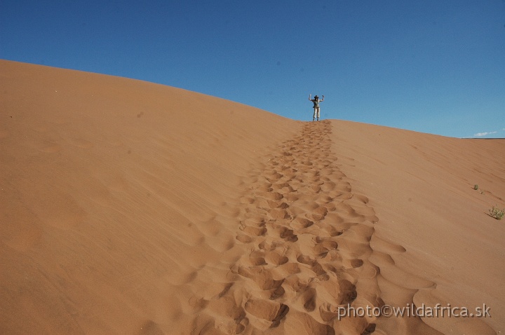 DSC_0573.JPG - Sossusvlei Dunes