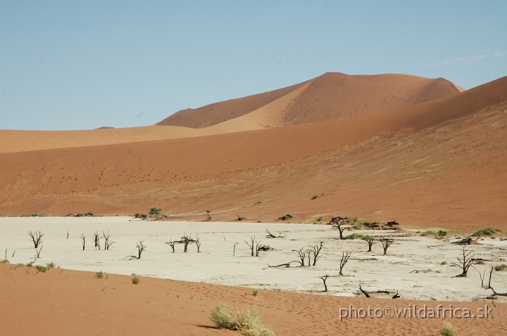 DSC_0577.JPG - Deadvlei