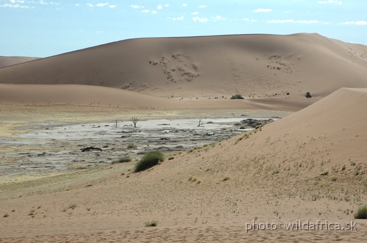 DSC_0578.JPG - Deadvlei