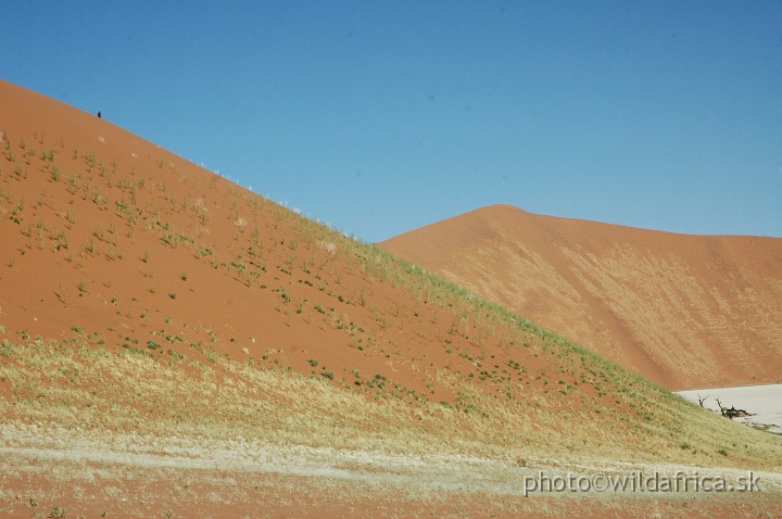 DSC_0582.JPG - Deadvlei