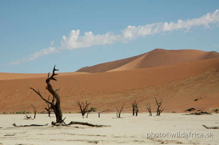 DSC_0584.JPG - Deadvlei