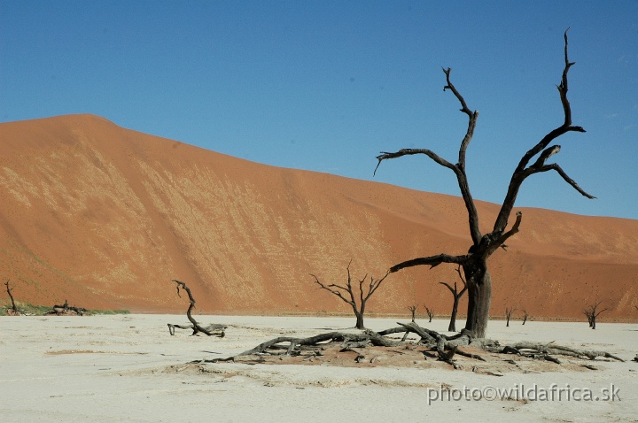 DSC_0586.JPG - Deadvlei