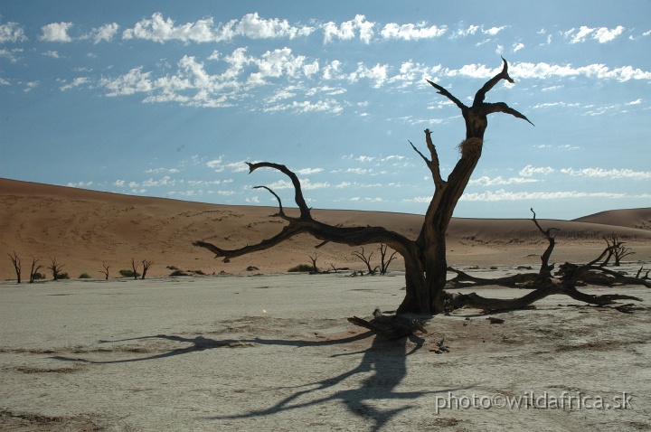 DSC_0588.JPG - Deadvlei