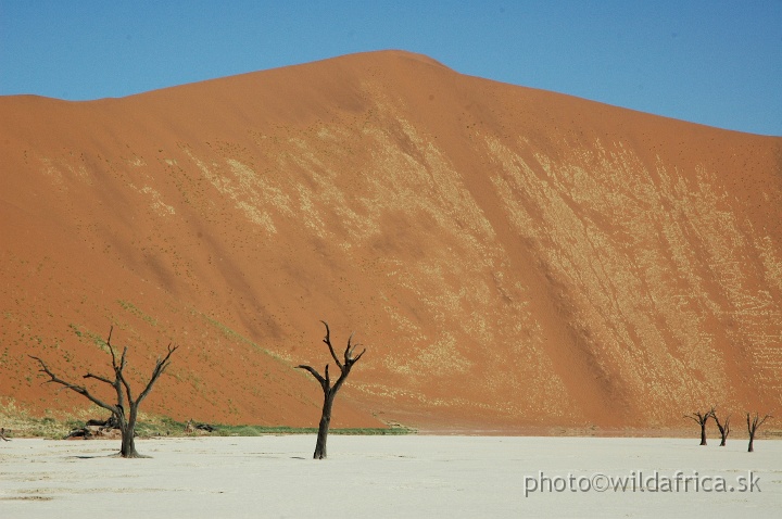 DSC_0590.JPG - Deadvlei