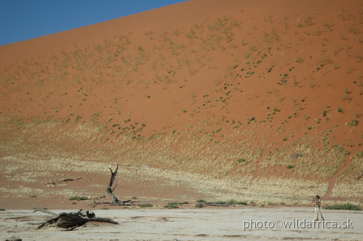 DSC_0592.JPG - Deadvlei