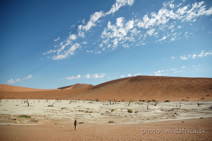 DSC_0594.JPG - Deadvlei