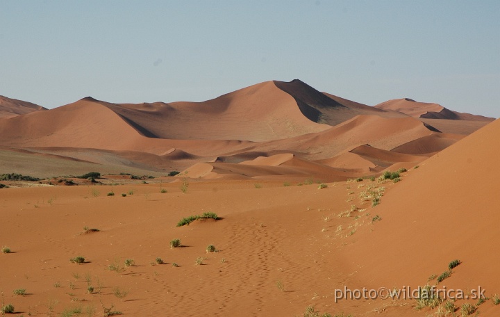 DSC_0599.JPG - Sossusvlei Dunes