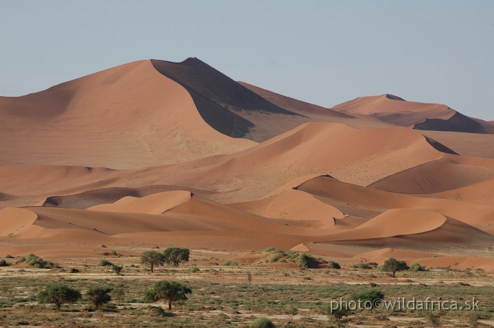 DSC_0608.JPG - Sossusvlei Dunes