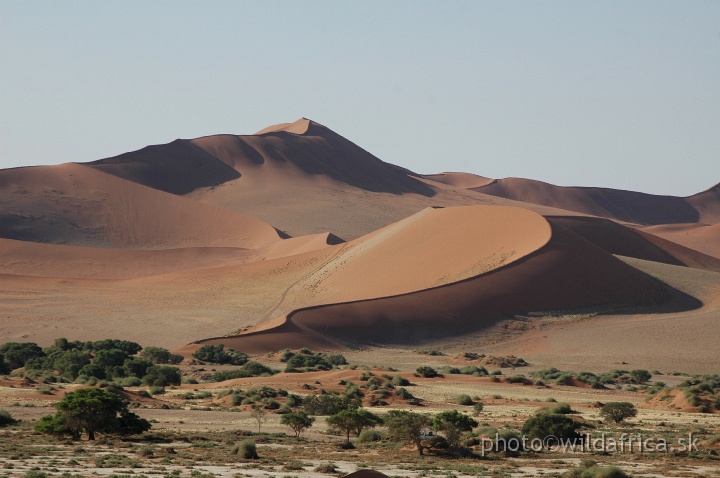 DSC_0609.JPG - Sossusvlei Dunes