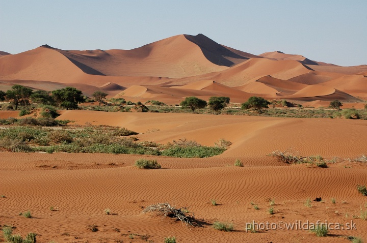 DSC_0617.JPG - Sossusvlei Dunes