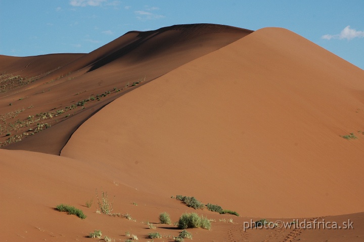 DSC_0619.JPG - Sossusvlei Dunes