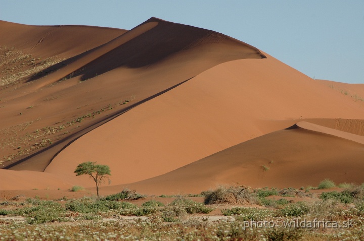 DSC_0622.JPG - Sossusvlei Dunes