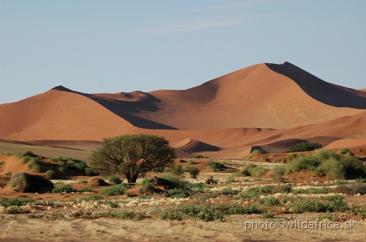 DSC_0623.JPG - Sossusvlei Dunes