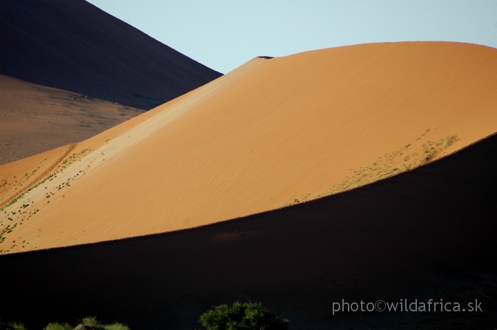 DSC_0624.JPG - Sossusvlei Dunes