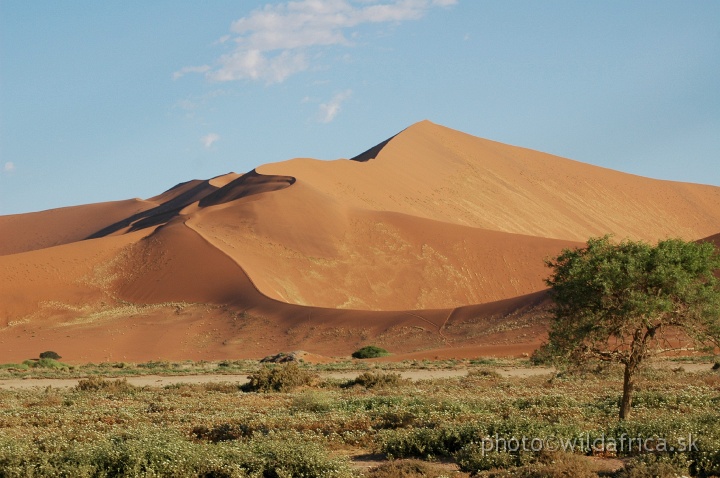 DSC_0626.JPG - Sossusvlei Dunes