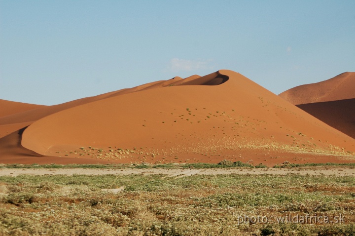 DSC_0627.JPG - Sossusvlei Dunes