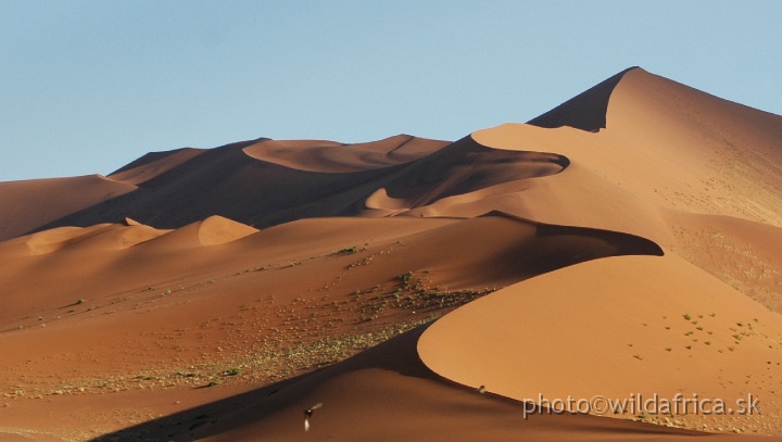 DSC_0630.JPG - Sossusvlei Dunes