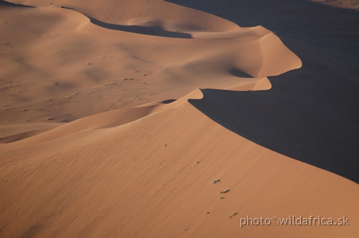 DSC_0656.JPG - Sossusvlei Dunes