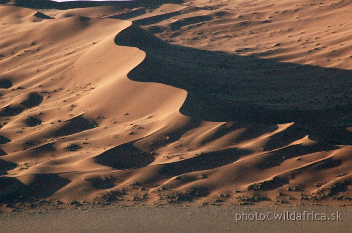 DSC_0661.JPG - Sossusvlei Dunes