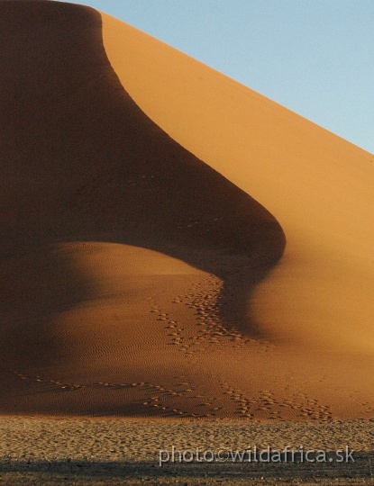 DSC_0663.JPG - D 45 Dune, our goal