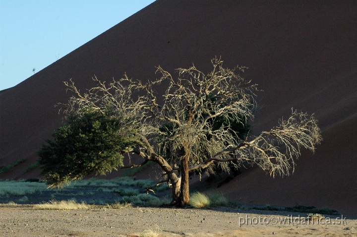 DSC_0664.JPG - Sossusvlei Dunes