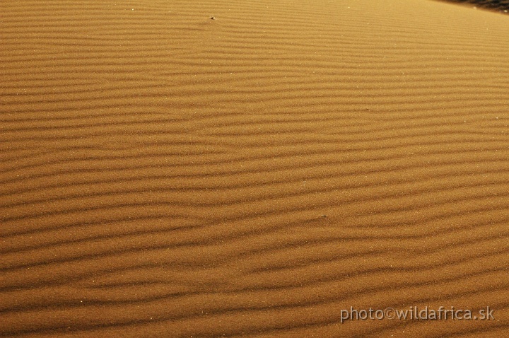 DSC_0667.JPG - Sossusvlei Dunes