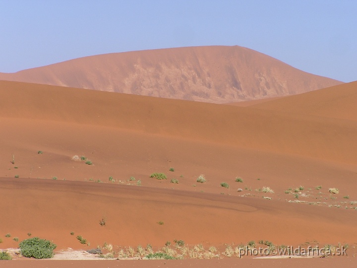 P1010198.JPG - Sossusvlei Dunes