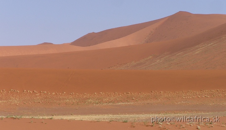 P1010199.JPG - Sossusvlei Dunes